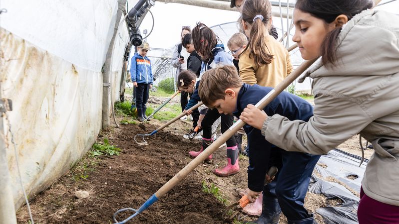À la ferme, les enfants peuvent planter, semer, toucher, sentir et goûter les légumes. © Céline Jacq