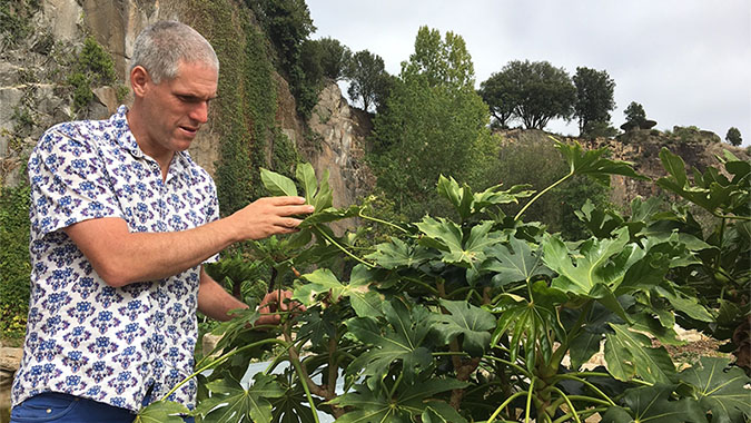 Les pépites botaniques du Jardin extraordinaire