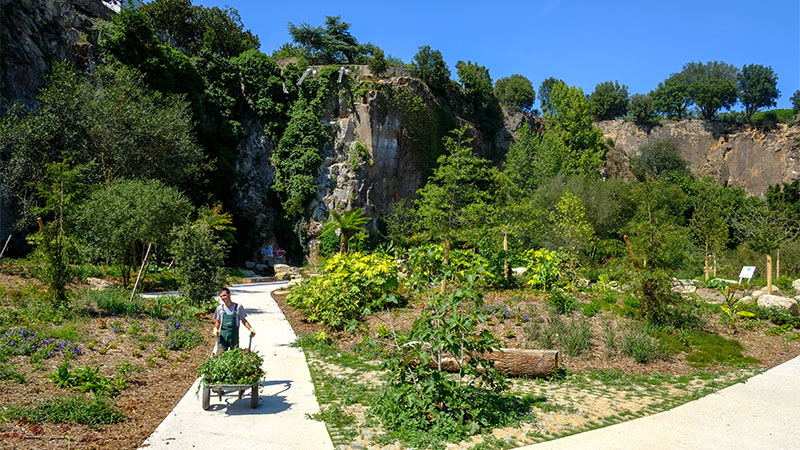 « 25 000 végétaux ont été plantés. Nous avons acheté à l’extérieur des plantes assez classiques, d’autres plus rares qu’on est allés chercher chez des spécialistes. Enfin, le Jardin des plantes et notre pépinière produisent des petits bijoux, qu’on a ramenés. » « 25 000 végétaux ont été plantés. Nous avons acheté à l’extérieur des plantes assez classiques, d’autres plus rares qu’on est allés chercher chez des spécialistes. Enfin, le Jardin des plantes et notre pépinière produisent des petits bijoux, qu’on a ramenés. »