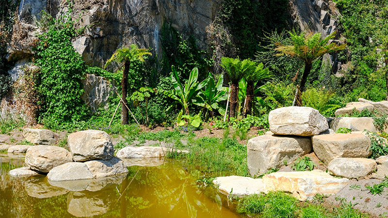 « Près de la cascade est aménagée une zone sans fleurs, avec des fougères arborescentes de Nouvelle-Zélande, des cycas, des feuilles géantes, des bananiers basjoo, des aralia… C’est le côté Jurassic park du Jardin extraordinaire ! » « Près de la cascade est aménagée une zone sans fleurs, avec des fougères arborescentes de Nouvelle-Zélande, des cycas, des feuilles géantes, des bananiers basjoo, des aralia… C’est le côté Jurassic park du Jardin extraordinaire ! »
