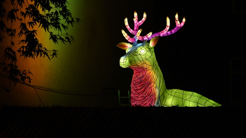 Surplombant la rue de la Clavurerie, le cerf « est un élément fixe. Peut-être que pour les enfants d’aujourd’hui qui voient ce Voyage en hiver, il fera partie de leurs souvenirs d’enfance, de leurs traditions de Noël. » © Rodolphe Delaroque.
