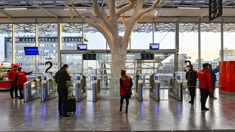 18 arbres en béton blanc soutiennent la charpente de la mezzanine. Un parti pris organique qui fait le lien avec le parvis nord végétalisé.