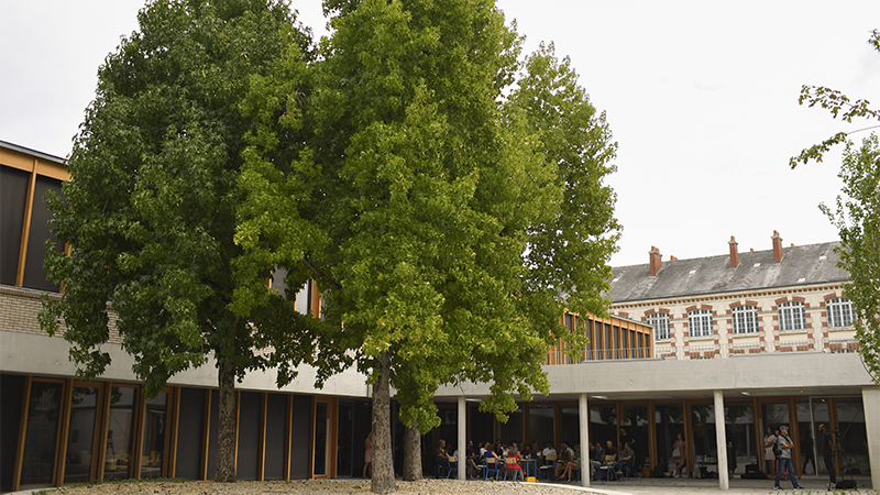 Dans le projet de l'école Alice Guy, conserver les arbres dans la cour des maternelles était une priorité. © Thierry Mezerette pour Nantes Métropole Dans le projet de l'école Alice Guy, conserver les arbres dans la cour des maternelles était une priorité. © Thierry Mezerette pour Nantes Métropole
