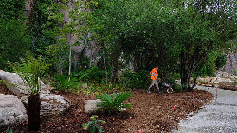 Près de 200 espèces végétales sont plantées au cours de la première phase de travaux. Des espèces étonnantes par leurs feuillages, leurs couleurs, leurs floraisons, parfois tout droit sorties de l’univers de Jules Verne. Près de 200 espèces végétales sont plantées au cours de la première phase de travaux. Des espèces étonnantes par leurs feuillages, leurs couleurs, leurs floraisons, parfois tout droit sorties de l’univers de Jules Verne.