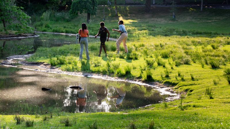 Au Parc de Procé, un oasis de biodiversité a été créé sur les berges de la Chézine. © Christiane Blanchard Au Parc de Procé, un oasis de biodiversité a été créé sur les berges de la Chézine. © Christiane Blanchard