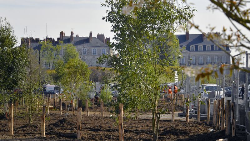 Sur cet ancien parking bitumé, les paysagistes ont fait le choix de planter des essences présentes naturellement sur les rives de Loire : sorbier, aulnes, alisier blanc… ©  Rodolphe Delaroque