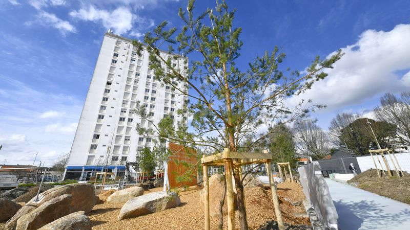 Un jardin prend racine au cœur de Bellevue