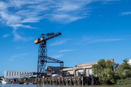 Image Grue Noire